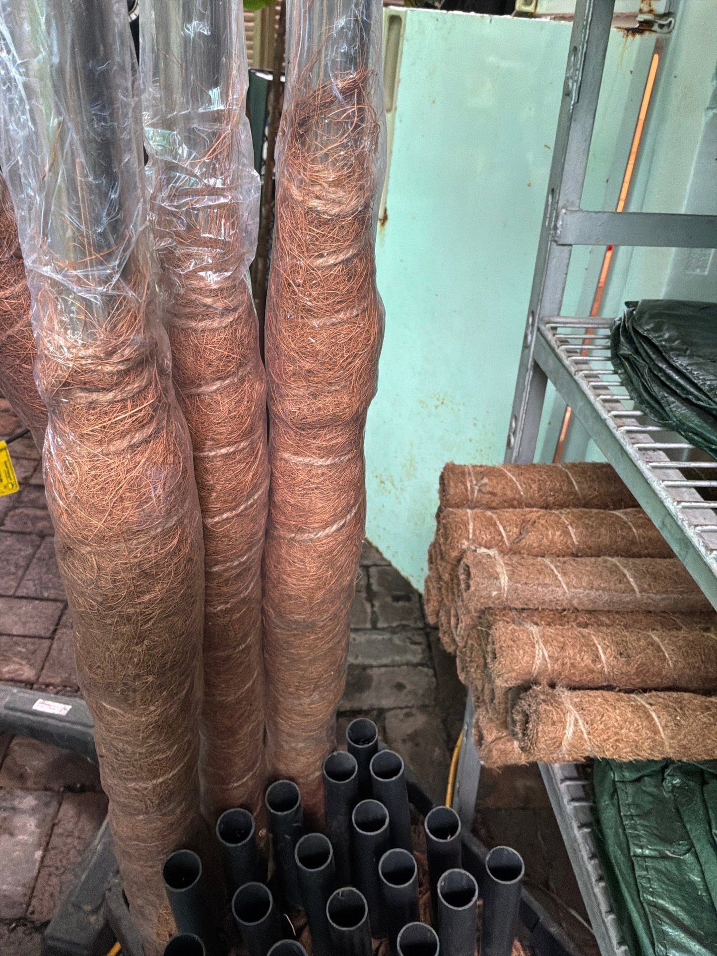Coco Plant Pole - Garden Care & Turf - Garden View Nursery