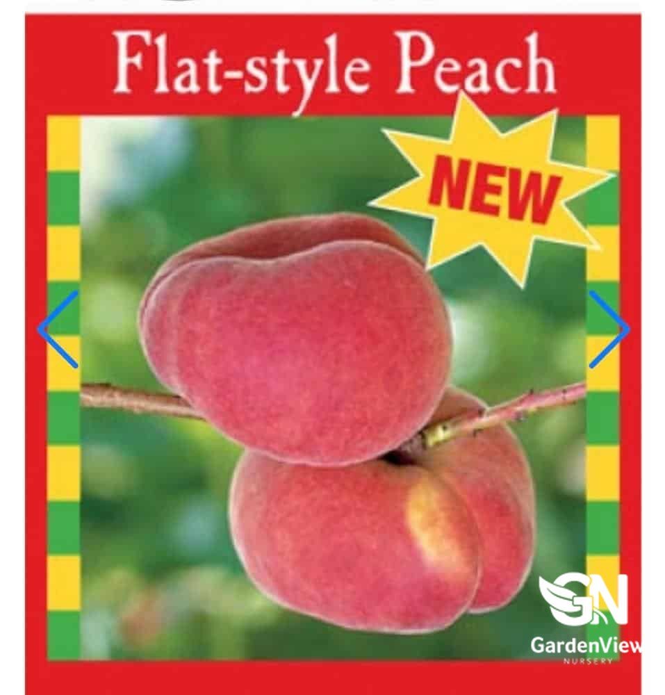 Nectarine Okee Dokee - Fruit Trees - Garden View Nursery