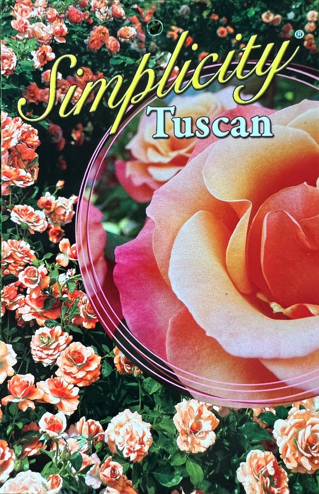Rose Tuscan Sun Bush - Roses - Garden View Nursery
