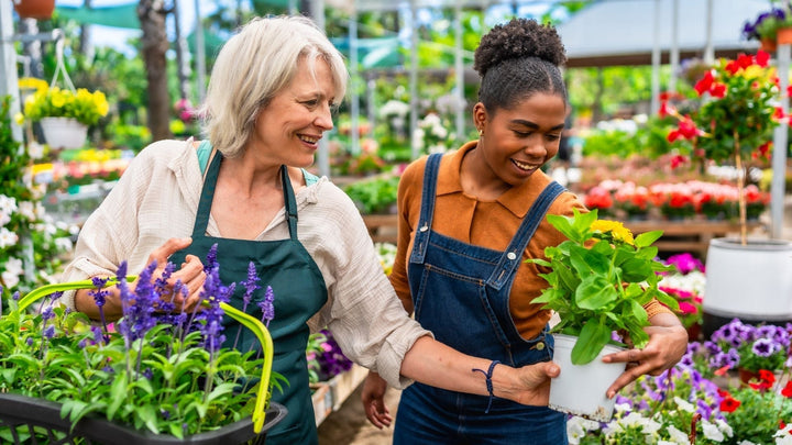 An Expert Guide to Choosing the Ideal Plants for Your Garden