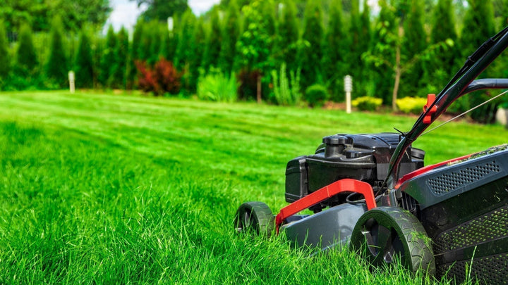How to Get a Lush Lawn: A Practical Guide for Australian Gardens