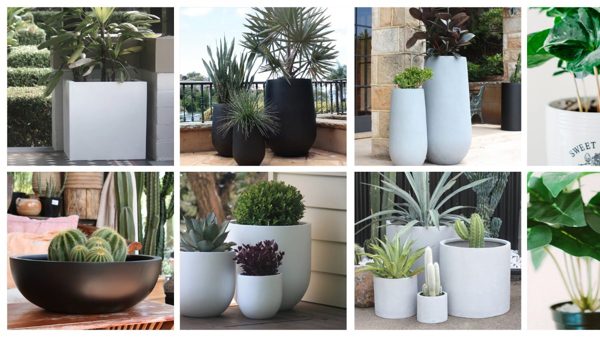 Pots & Planters