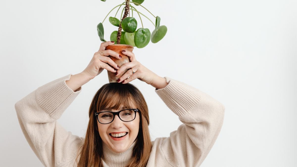 Stress Relief Plants - Garden View Nursery