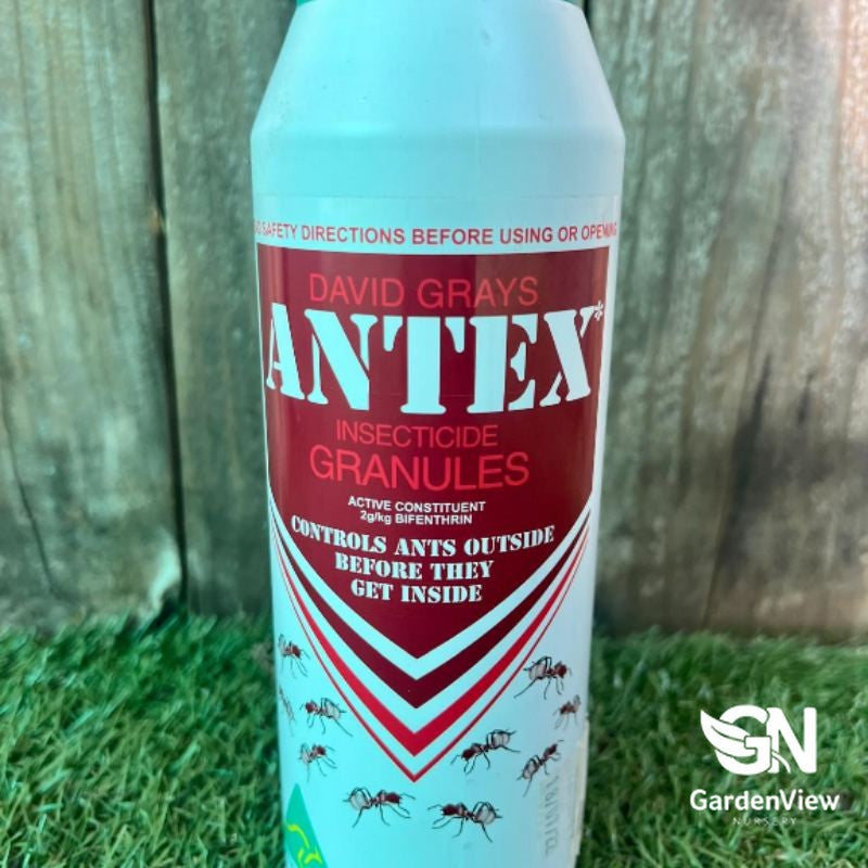 Antex Insecticide Granules bottle with red label for controlling ants outside homes