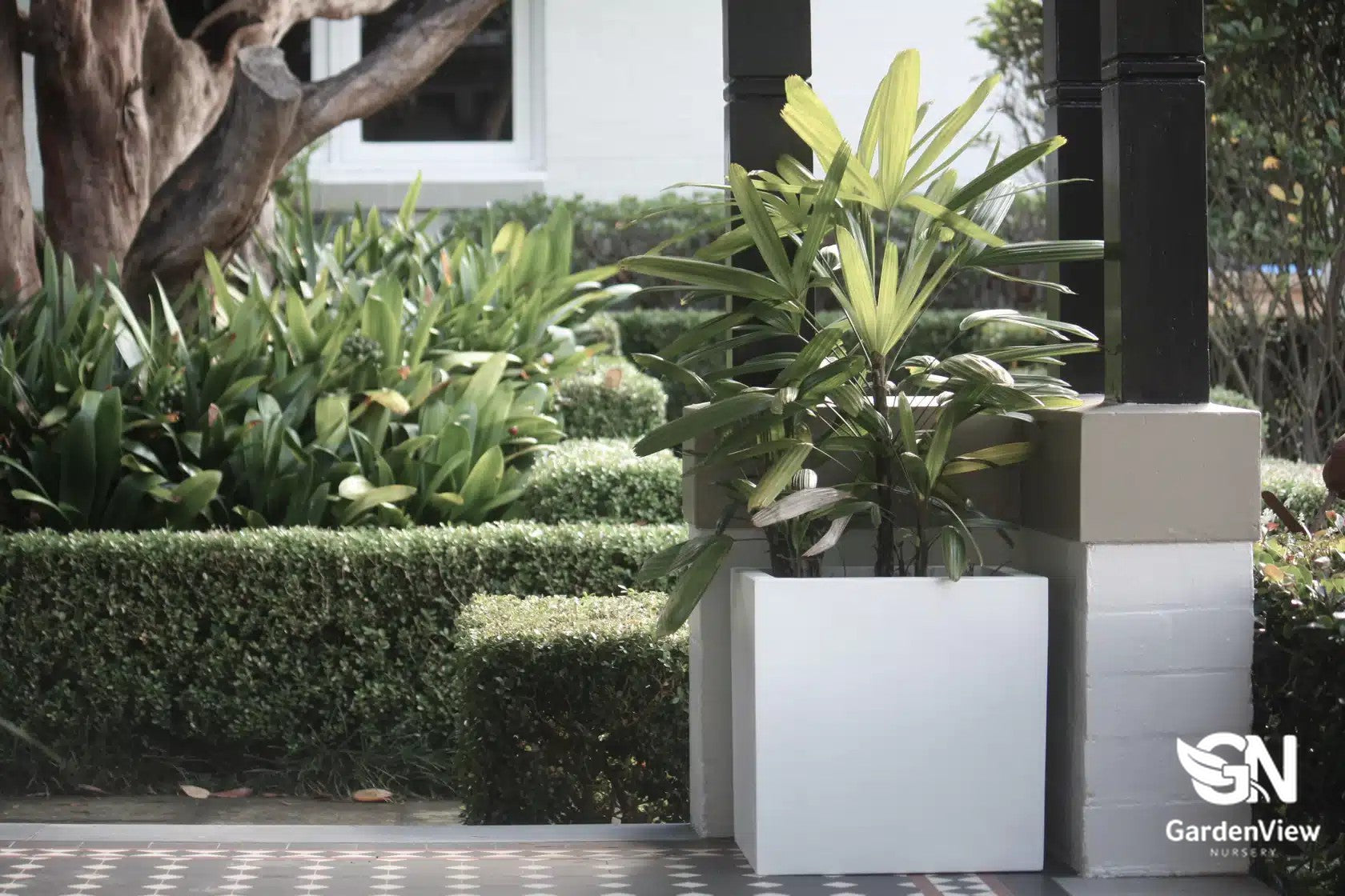 Modern square cube pots in various sizes arranged on a patio with plants, showing clean geometric lines