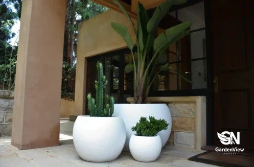 Curved dome-shaped ceramic pots in various sizes displaying different plants on a garden bench