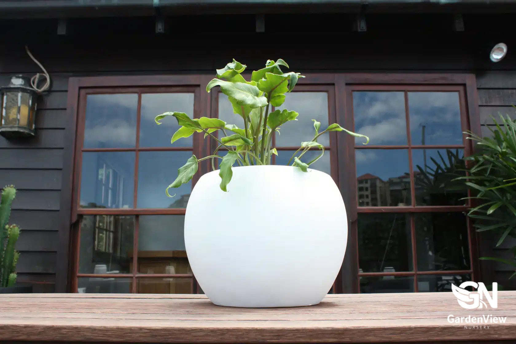 Curved dome-shaped ceramic pots in various sizes displaying different plants on a garden bench