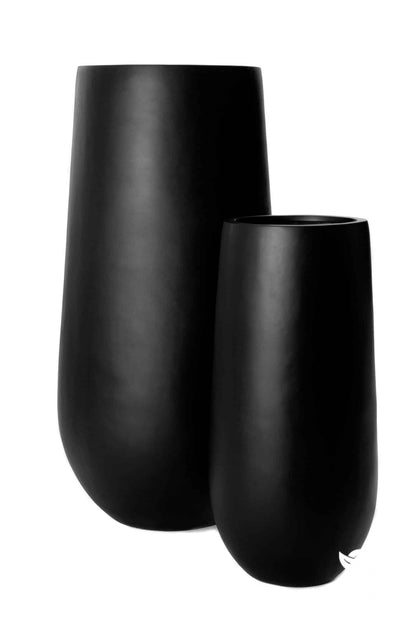 Tall Flute plant with distinctive upright green foliage in a modern white ceramic pot on a bright indoor windowsill