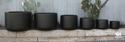 Natural wood stump pot with weathered texture and rustic grain patterns displayed in garden setting