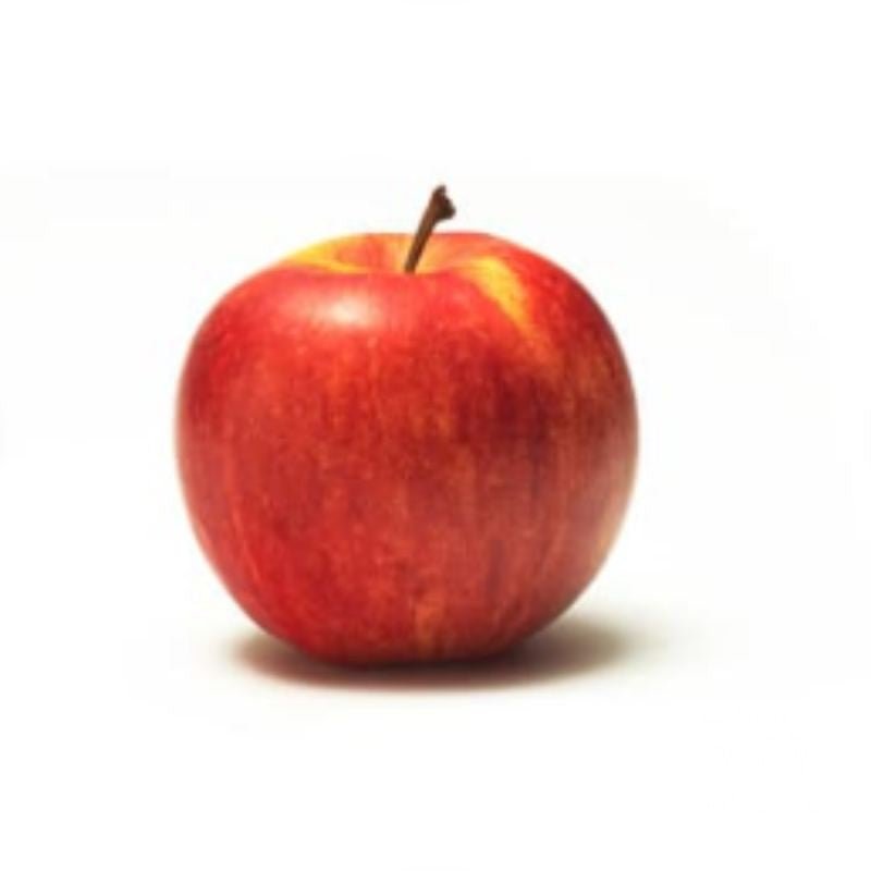 Apple Gala Dwarf - Fruit Trees - Garden View Nursery