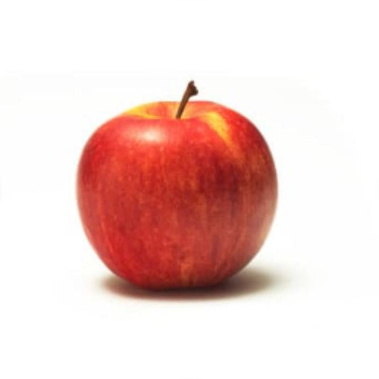 Apple Gala Dwarf - Fruit Trees - Garden View Nursery