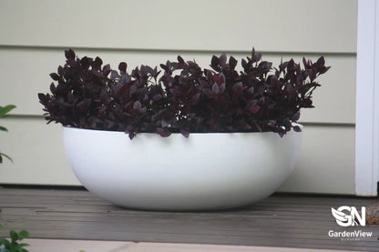Bowl Pots - Pots - Garden View Nursery