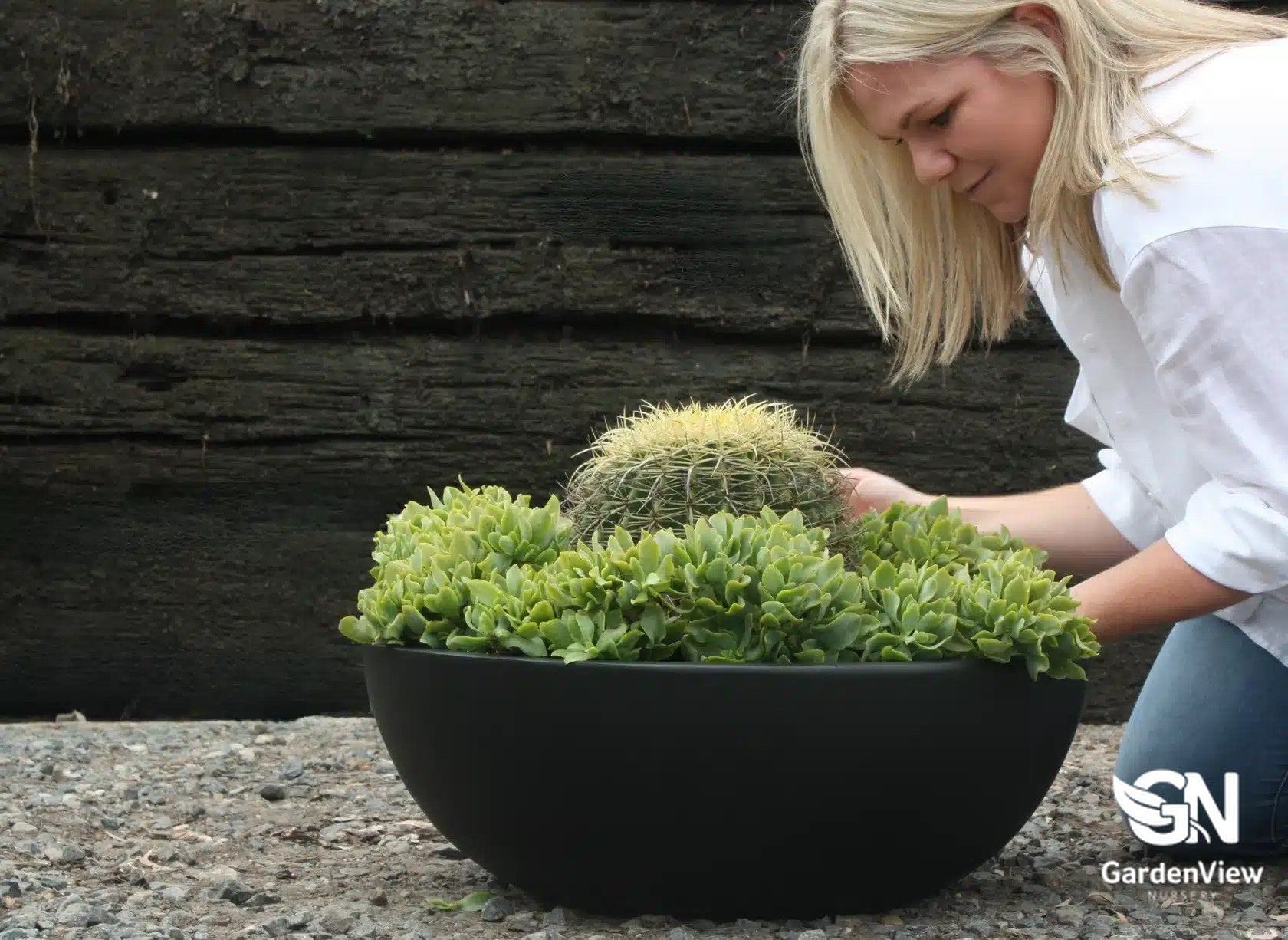 Bowl Pots - Pots - Garden View Nursery