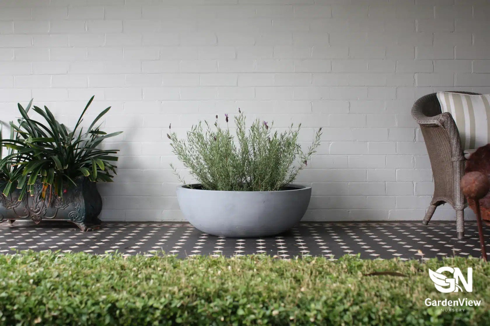 Bowl Pots - Pots - Garden View Nursery