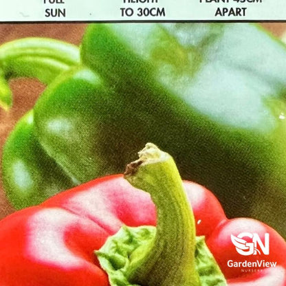 Chilli Mixed - Indoor Plants - Garden View Nursery