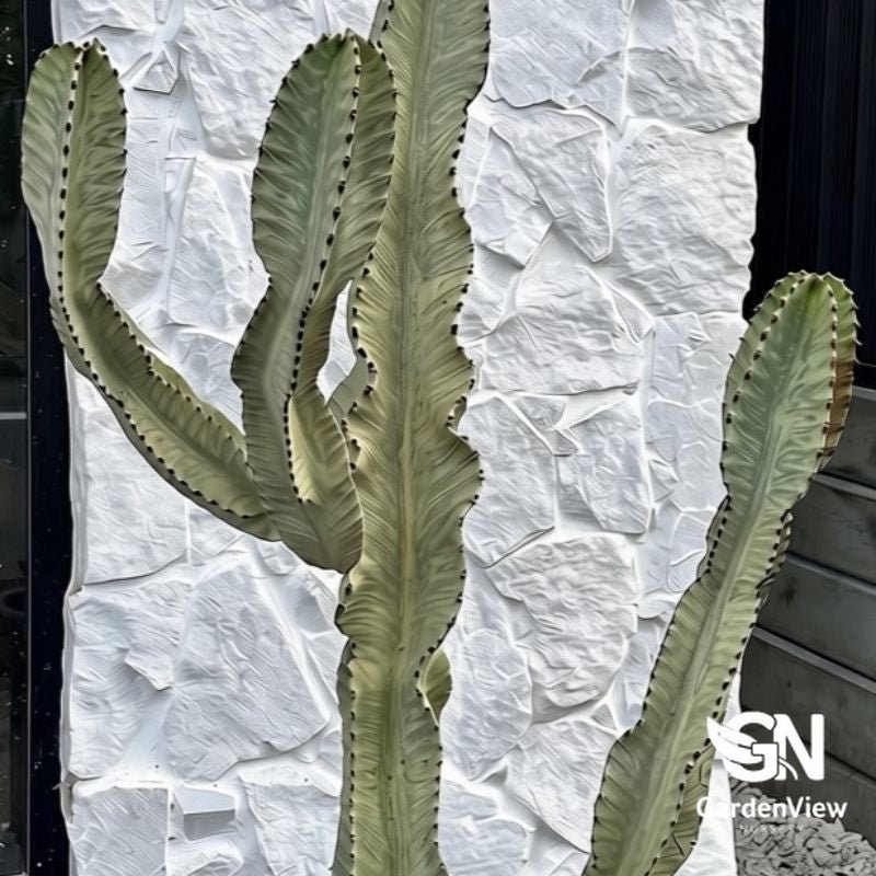 Euphorbia Ammak - Cactus & Succulents - Garden View Nursery