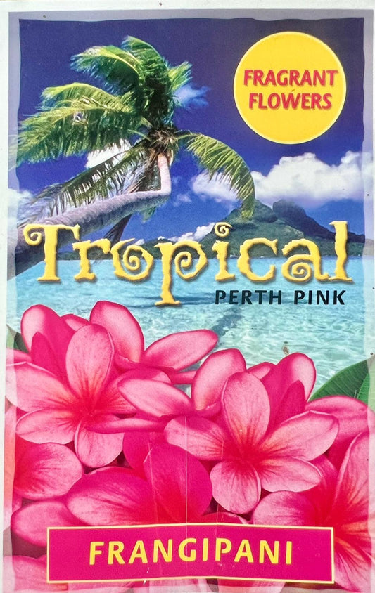 Frangipani Assorted - Shrubs & Trees - Garden View Nursery