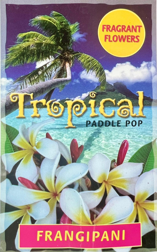 Frangipani Yellow White - Shrubs & Trees - Garden View Nursery