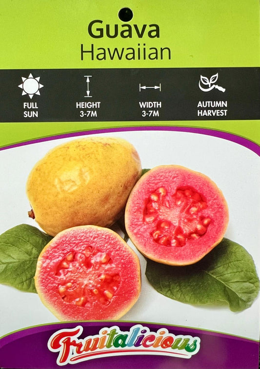 Guava Hawaiian - Fruit Trees - Garden View Nursery