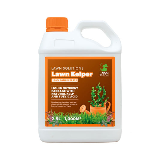 Dense green Lawn Kelper ground cover plant spreading in garden bed showing low-growing mat formation