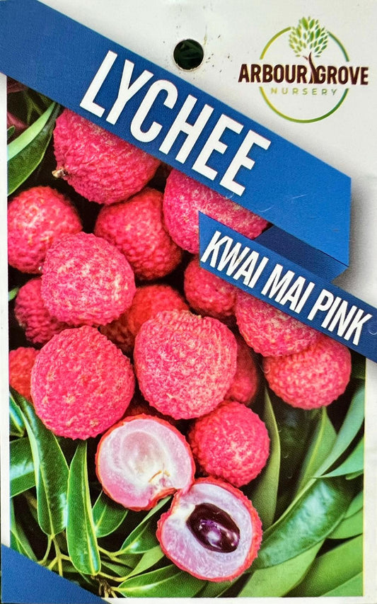 Lychee Kwai Mai Pink - Fruit Trees - Garden View Nursery