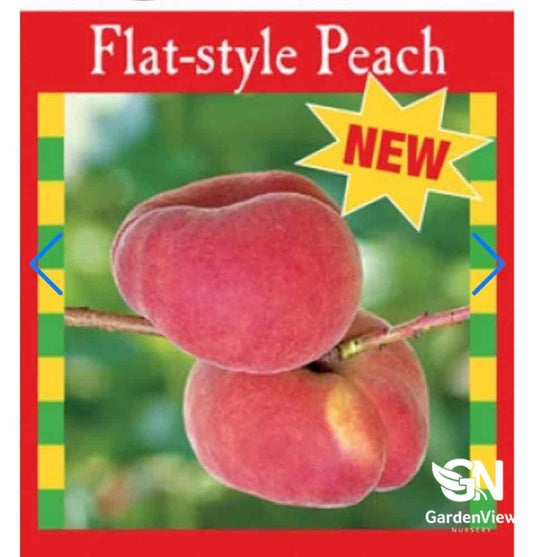 Nectarine Okee Dokee - Fruit Trees - Garden View Nursery