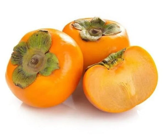 Persimmon Jiro