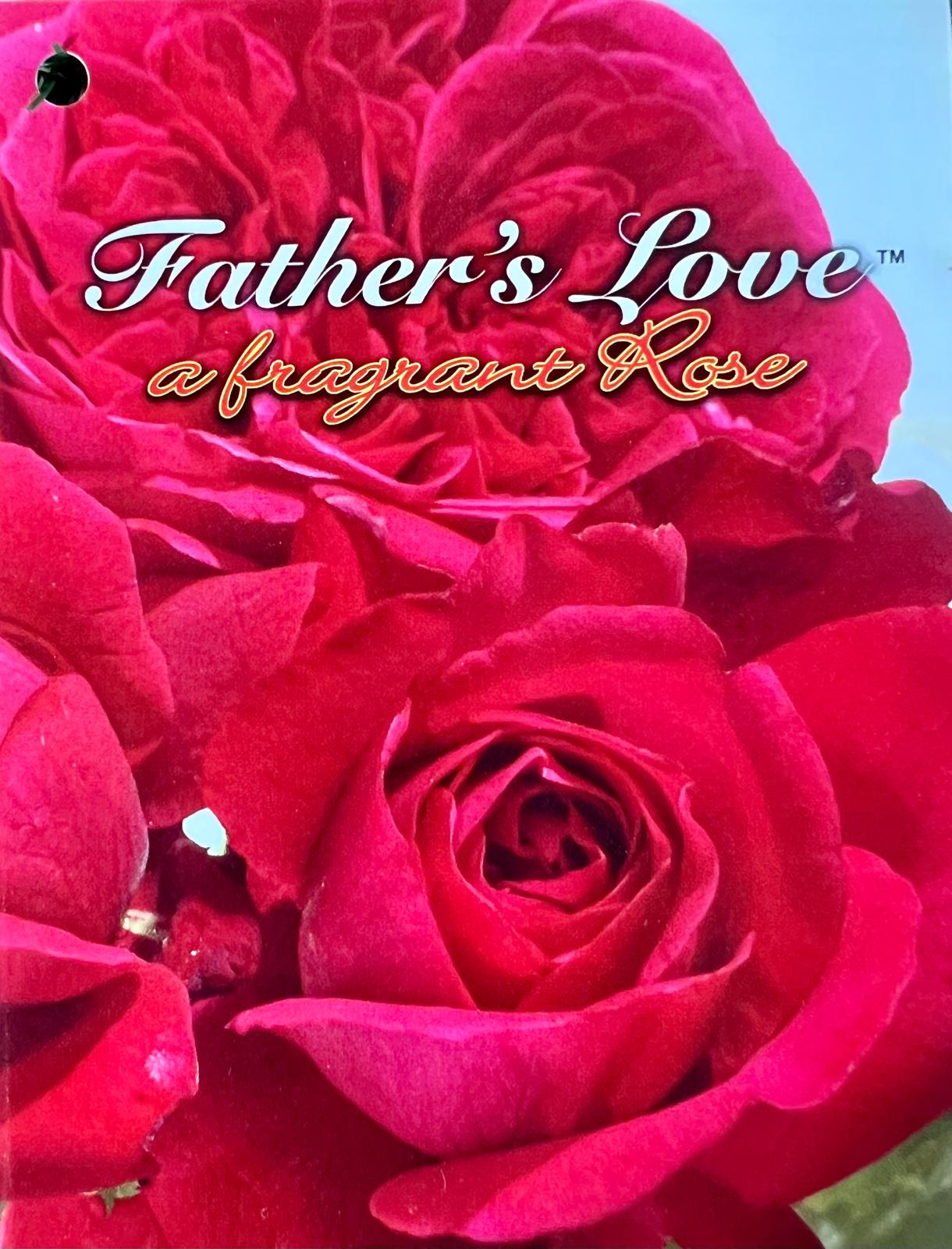 Rose Father'S Love Bush - Roses - Garden View Nursery