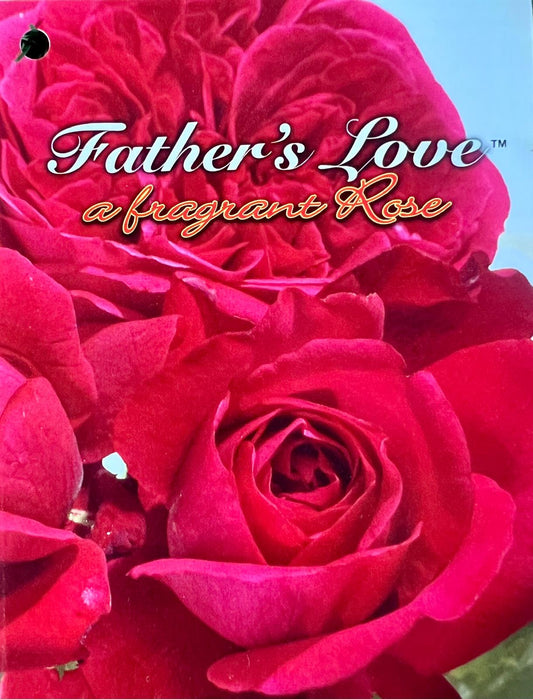 Rose Father'S Love Bush - Roses - Garden View Nursery