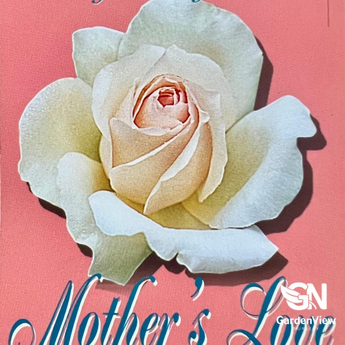 Rose Mothers Love Standard - Roses - Garden View Nursery