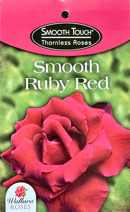 Rose Smooth Ruby Red Thornless Bush - Roses - Garden View Nursery