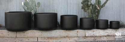 Stump Pots - Pots - Garden View Nursery