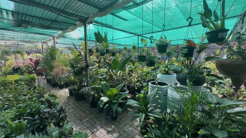 GardenView Nursery - Choose wide range of plants