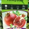 WhatsApp Image 2025 02 12 at 145522 d46212db - GardenView Plant Nursery
