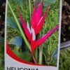 WhatsApp Image 2025 03 04 at 150433 a4c2e100 - GardenView Plant Nursery