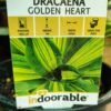 WhatsApp Image 2025 03 04 at 155343 3a0b0635 - GardenView Plant Nursery