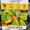 WhatsApp Image 2025 03 04 at 155818 a4000672 - GardenView Plant Nursery