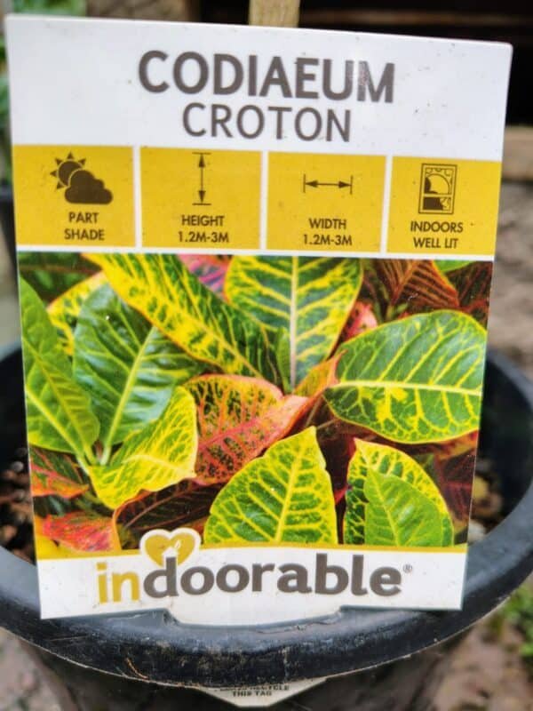 Gardenview plant nursery