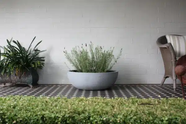 Bowl - Image 2