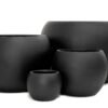 SUp Dome B set GardenView Nursery - GardenView Plant Nursery