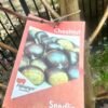 chestnuts_GardenView-Nursery