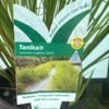 Lomandra longifolia Tanika_GardenView Nursery