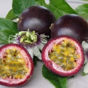 Passionfruit-Black-Garden-View-Nursery