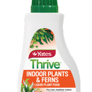 Yates-Thrive-Indoor-Plants-Garden-View-Nursery