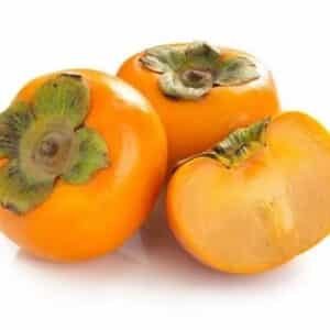 persimmon-jiro-Garden-View-Nursery