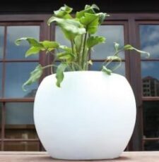 pots Garden View Nursery pots-Garden-View-Nursery