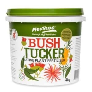 Bush Tucker Native Plants Garden View Nursery